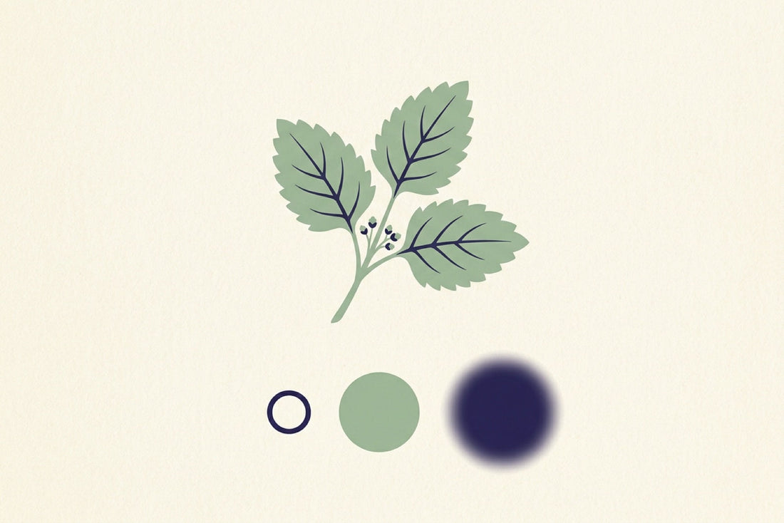 A sprig of lemon balm above three circles of increasing size, the smallest crisp and the largest blurred at its edges