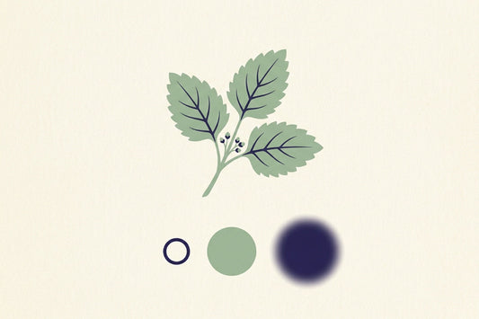 A sprig of lemon balm above three circles of increasing size, the smallest crisp and the largest blurred at its edges