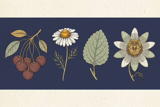 Four botanical specimens on a deep indigo ground: tart cherries, a chamomile flower, a lemon balm leaf and a passionflower bloom