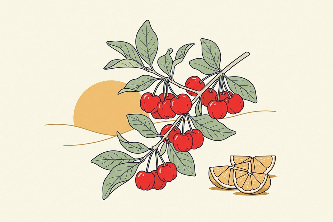 A branch of bright red acerola cherries with citrus segments and a rising sun behind