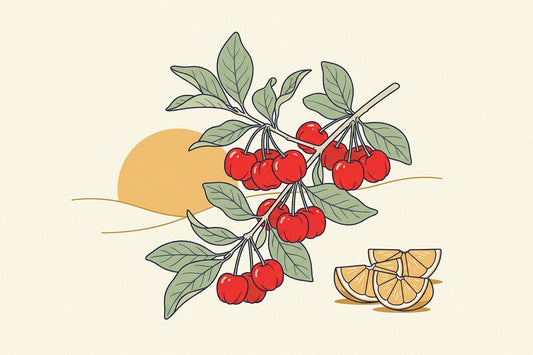 A branch of bright red acerola cherries with citrus segments and a rising sun behind