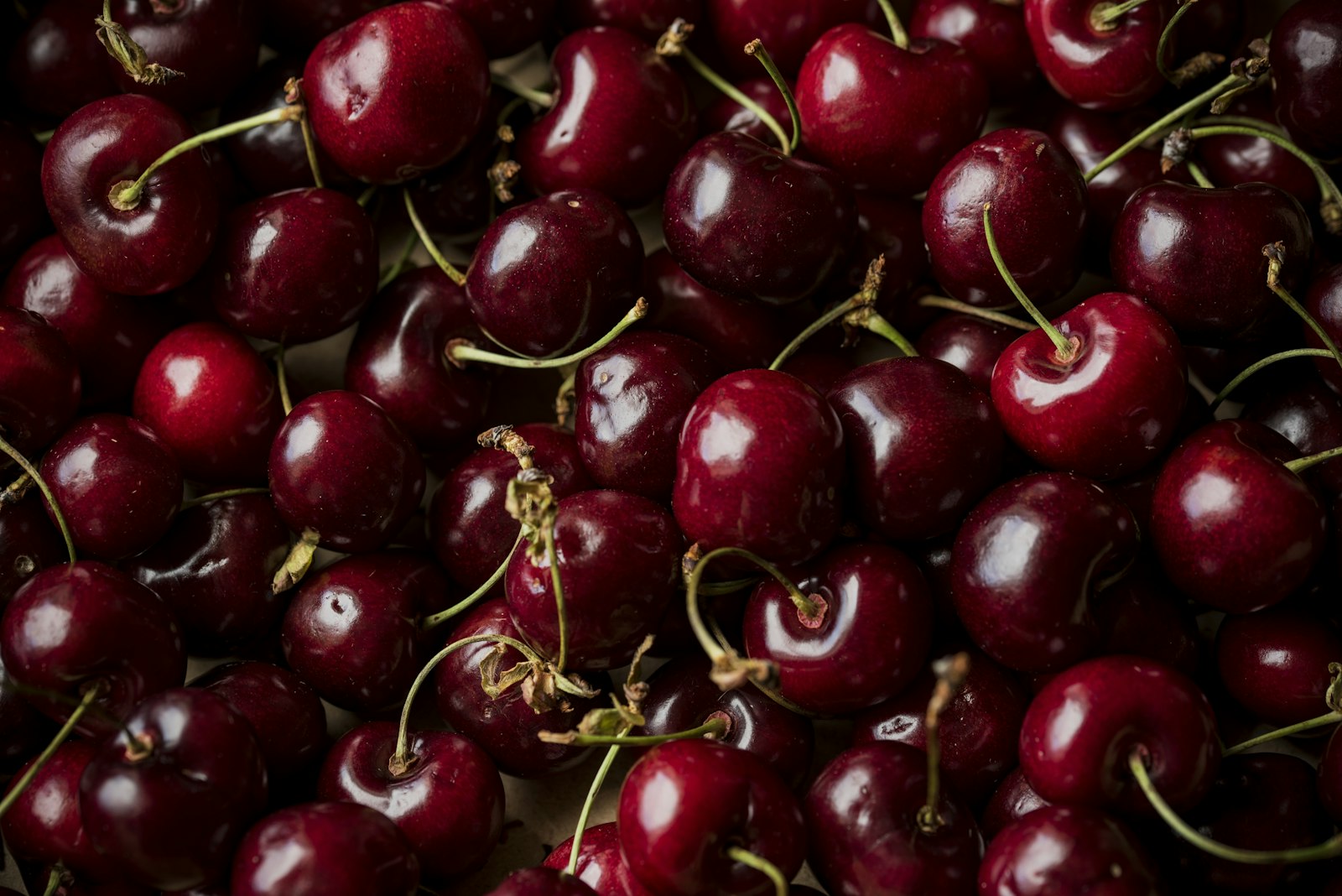 Red sour cherries